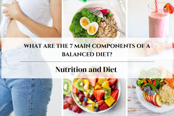 What are the 7 Main Components of a Balanced Diet?